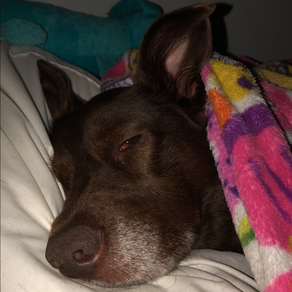 Meet your Posher, Lindsay